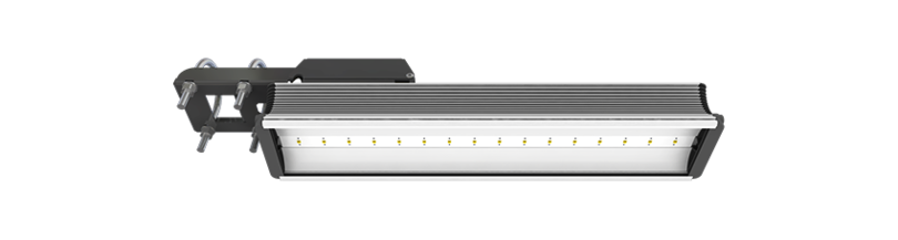 Msc6013
