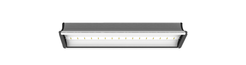 Msf601