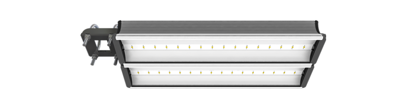 Msc6023